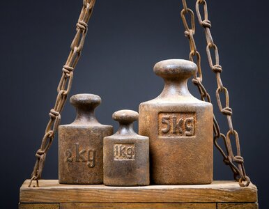 Miniatura: Wiesz, co to łan, a co tuzin? Sprawdź się...