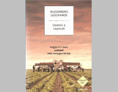 Miniatura: Pisał o niewolniczej pracy Polaków, dostał...