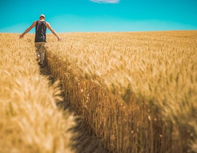 Miniatura: 15 tys. zł na tradycję, produkty lokalne i...