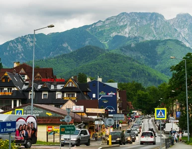 Miniatura: Plaga mandatów w Tatrach. Wszystko przez...