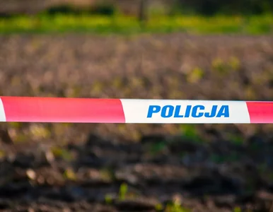 Miniatura: Podwójne morderstwo w Kadłubie. Jest finał...