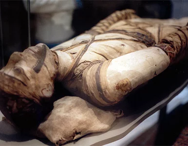 Miniatura: Taksówkarz dał się zmumifikować. "Z myślą...