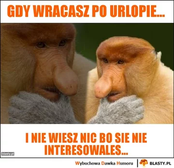 Dzień wolny? Internauci odpowiadają memami 