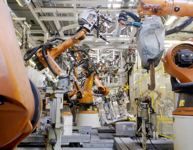 Miniatura: Roboty przyszłością gospodarki?
