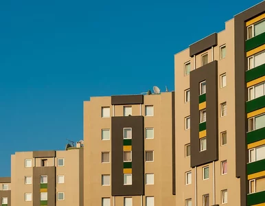 Miniatura: Sąsiedzi są w modzie. Socjolog: Trwa...