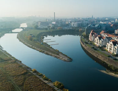 Miniatura: Zaskakujący efekt pandemii. Naukowcy...