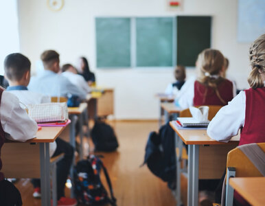 Miniatura: Szkoły publiczne jak „survival” dla...