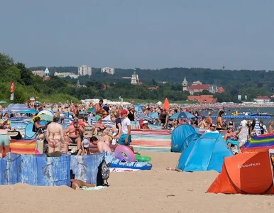 Miniatura: Agresywny plażowicz zaatakował ratownika....