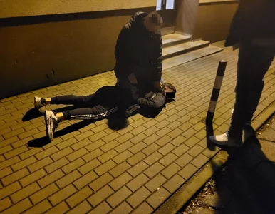 Miniatura: To miał być po prostu niezobowiązujący...