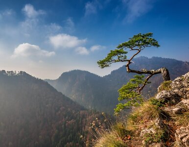 Miniatura: QUIZ z geografii Polski. Na te pytania...