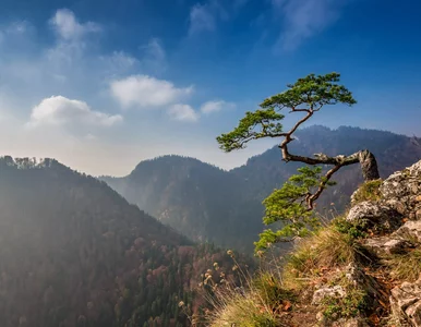 Miniatura: QUIZ z geografii Polski. Na te pytania...