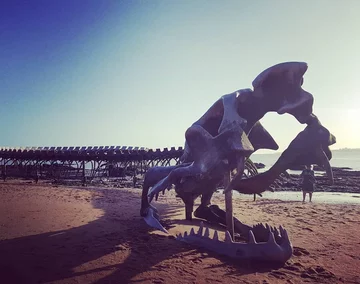 Serpent D'ocean 
