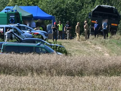 Miniatura: Co spadło pod Tarnawą-Kolonią? Nowe...