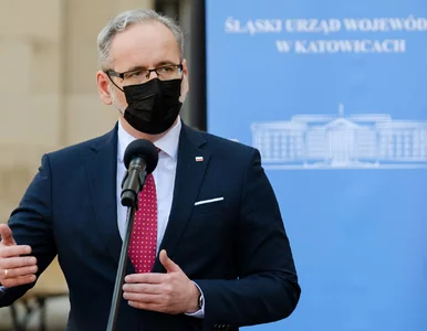 Miniatura: Wariant brazylijski był w Polsce od prawie...