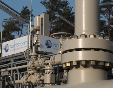 Miniatura: Wstrzymano przepływ gazu w Nord Stream....