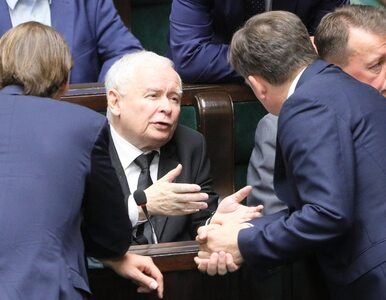 Miniatura: Kaczyński: To właśnie buduje Tusk na obce...