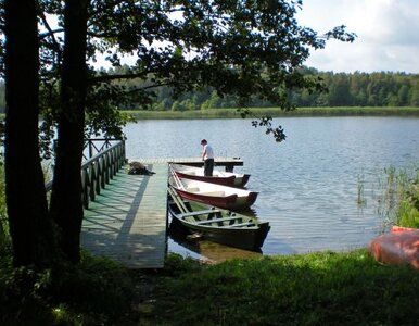 Miniatura: Polacy uciekli na długi weekend z miast....