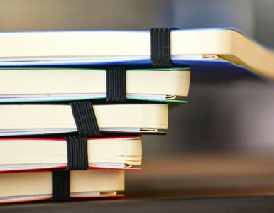 Miniatura: Nowy quiz ortograficzny. W roli głównej...