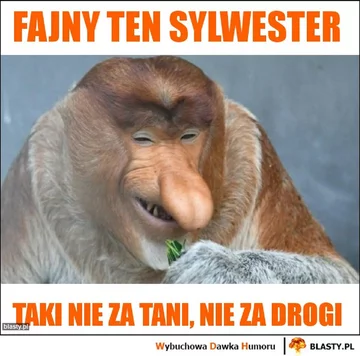 Mem z okazji Sylwestra 
