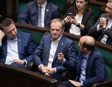 Miniatura: W Platformie na siebie donoszą. „Ruszył...