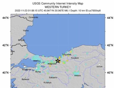 Silne trzęsienie ziemi w Turcji. Są ranni, szkoły zostały zamknięte