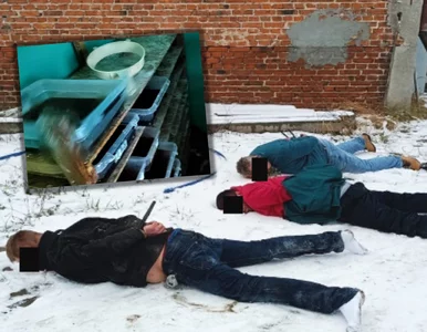 Miniatura: Policjanci zlikwidowali laboratorium, w...