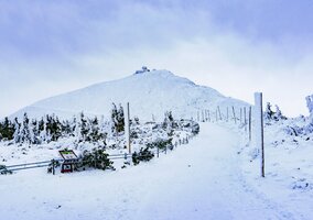 Miniatura: Restauracja powróci na słynny polski...