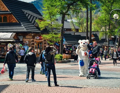 Miniatura: W Tatrach zawrzało. Górale skarżą się na...