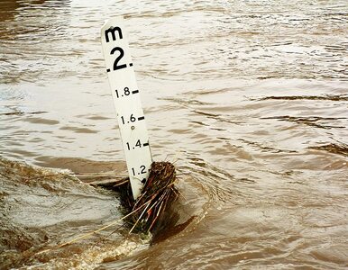 Miniatura: W rzekach przybywa wody, Polsce grozi powódź?
