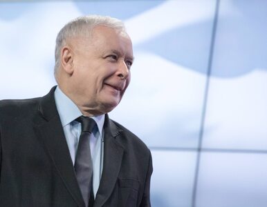 Miniatura: Kaczyński pozywa Brejzę. Poseł PO miał...