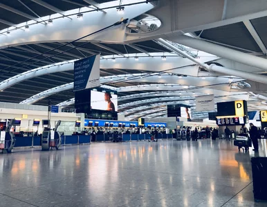 Miniatura: Nowa odmiana koronawirusa w Wielkiej...