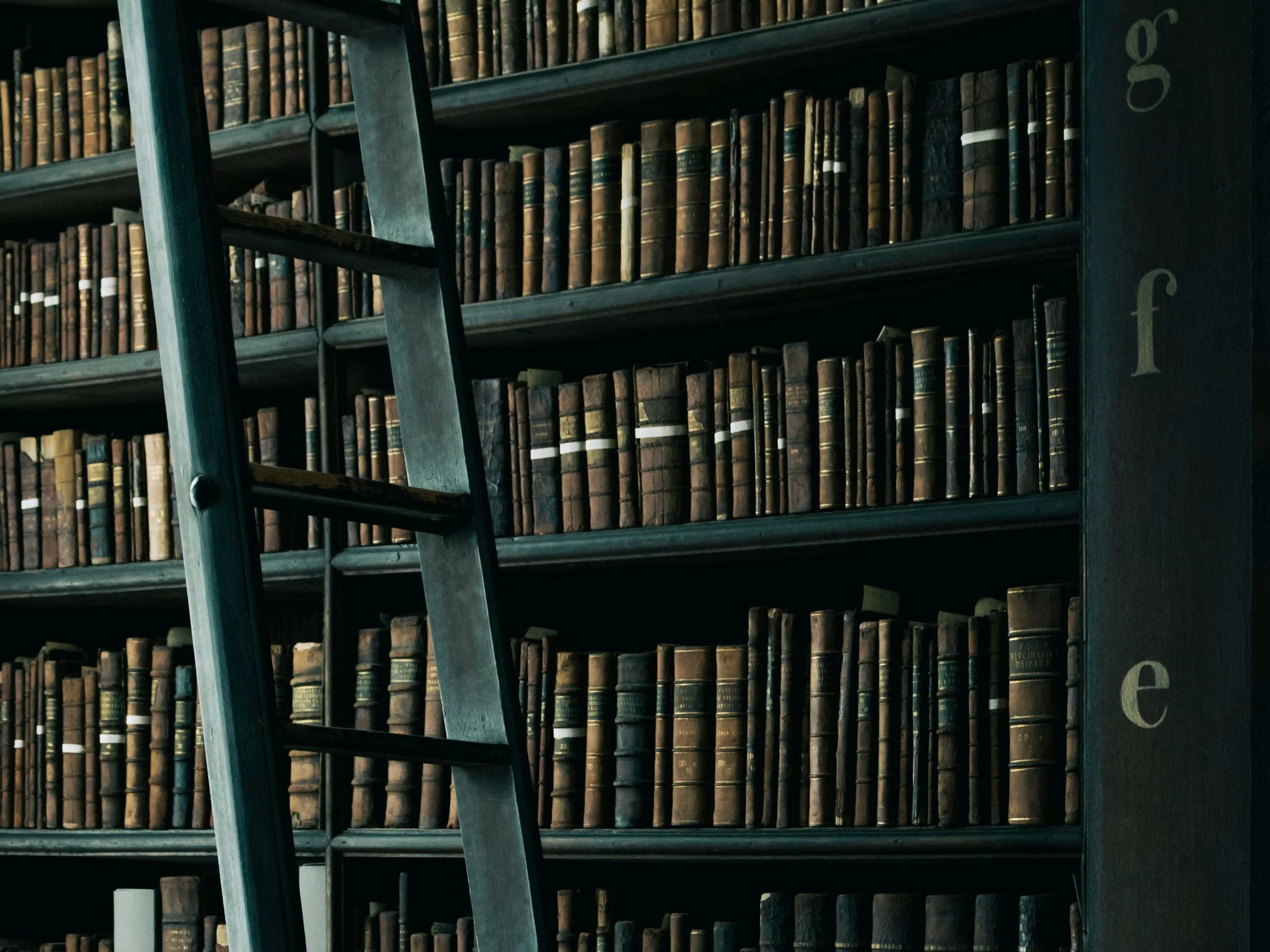 Bardzo trudny quiz z języka polskiego. Tylko nieliczni zdobędą komplet punktów