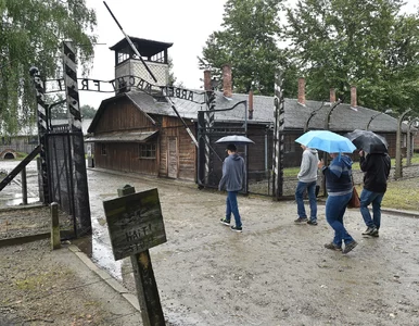 Miniatura: Izraelski historyk: Wysyłanie izraelskiej...