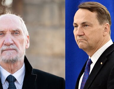 Miniatura: Sikorski nazwał Macierewicza „świrem”....