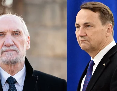 Miniatura: Sikorski nazwał Macierewicza „świrem”....