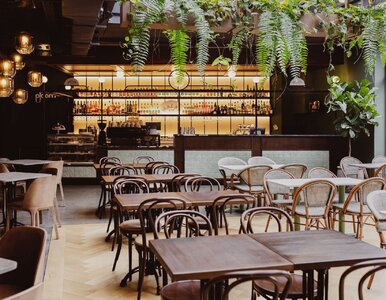 Miniatura: Kulinarna Kamienica. Nowy food hall w...