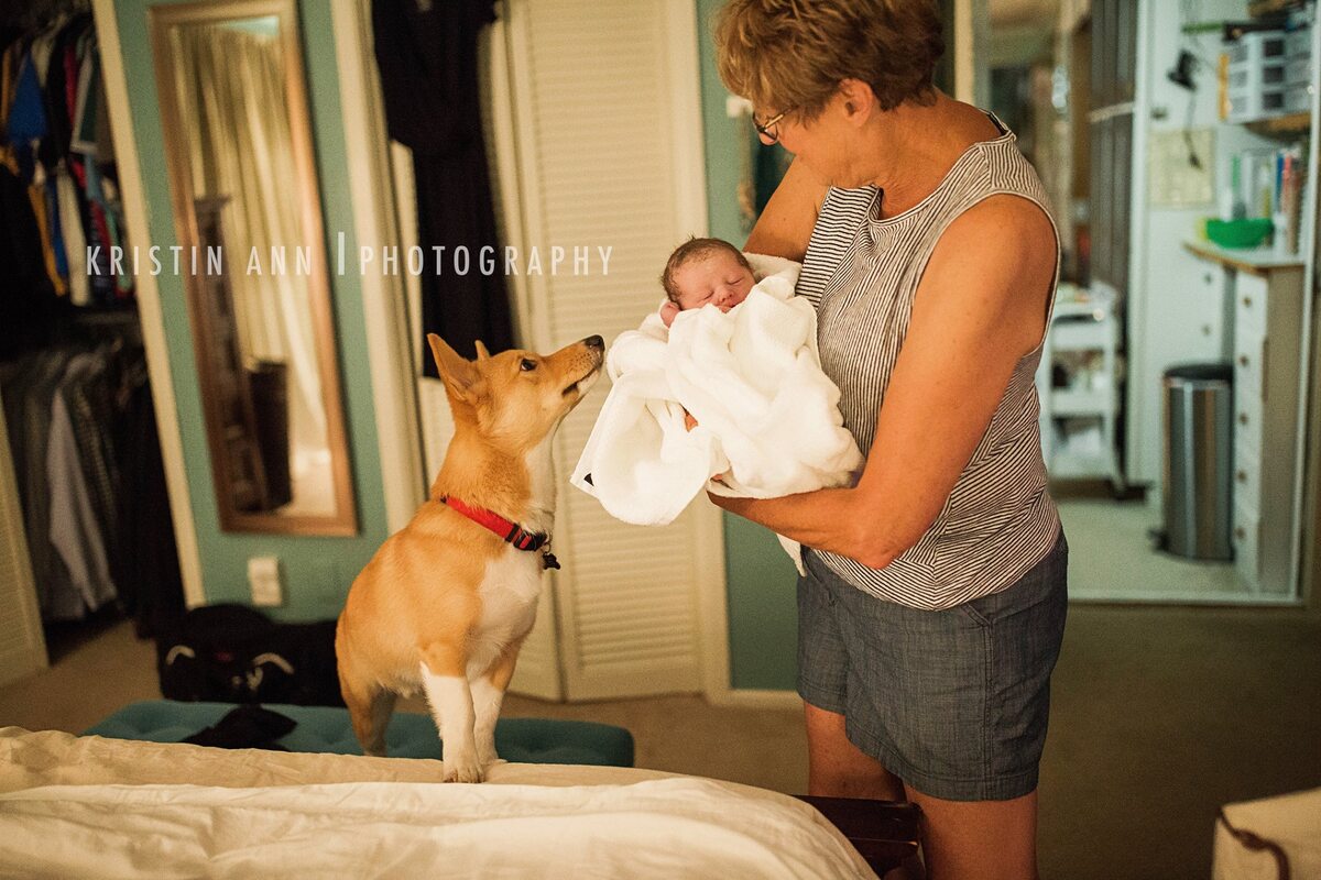 Pies Ranger towarzyszył swojej pani podczas porodu w domu 
