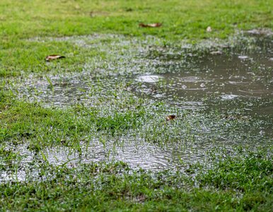 Miniatura: Masz dużą działkę? Możesz dostać rachunek...