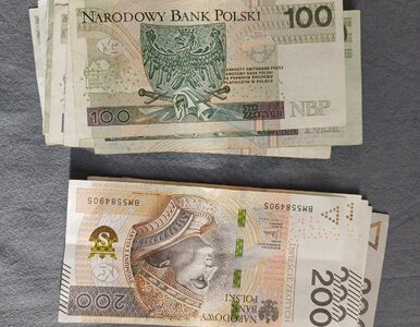 Miniatura: Młodzi Polacy uciekają przed ryzykiem....