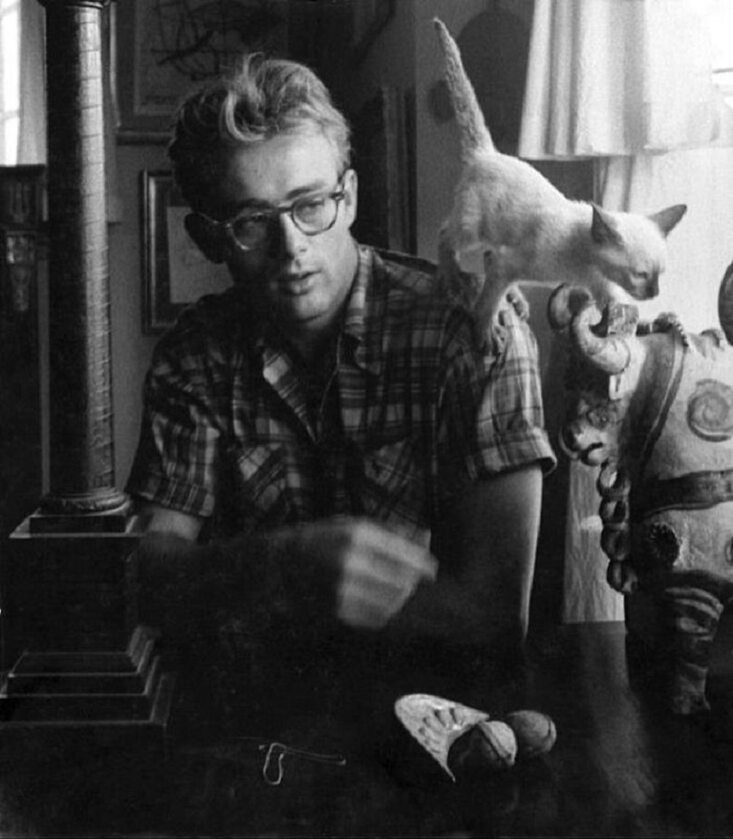 James Dean i jego kot Marcus. Nowy Jork, 1954 r. 
