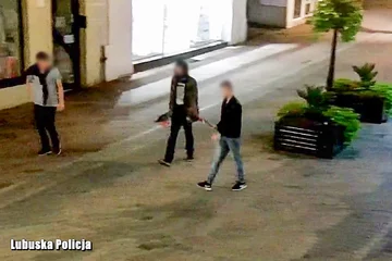 Zrywali i wręczali sobie kwiaty. Będą się tłumaczyć przed sądem 