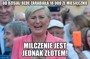 Mem komentujący podwyżki wynagrodzeń polityków 