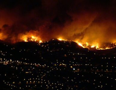 Miniatura: Pożary pustoszą Maderę. Mieszkańcy uciekają