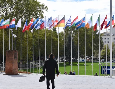 Miniatura: Rosja opuszcza Radę Europy. „Marionetkowa...