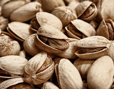 Miniatura: Nie wyrzucaj łupin po pistacjach! 9...