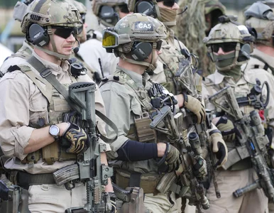 Miniatura: "NATO musi się wzmocnić na Wschodzie....