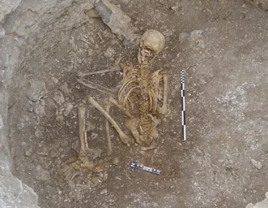 Miniatura: Odkryto grób sprzed 2000 lat. Archeolodzy...