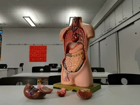 Miniatura: Minister nauki zamknie kilka kierunków...