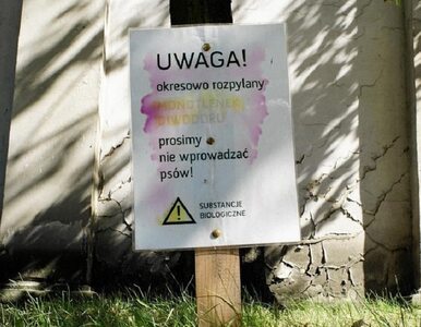 Miniatura: Mieszkańcy Poznania boją się wchodzić na...