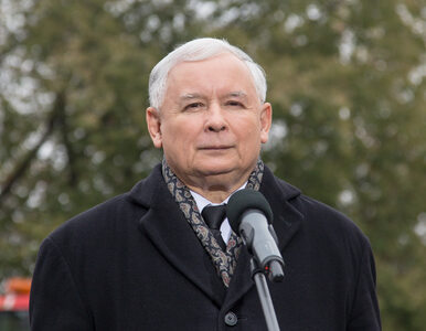 Miniatura: Kaczyński: W Polsce próbuje się zbudować...